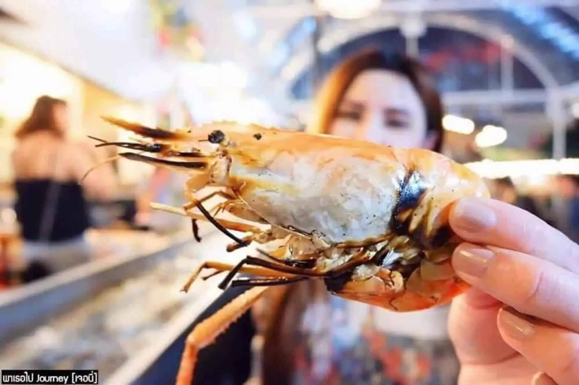 泰國流水蝦，泰國蝦現撈現烤