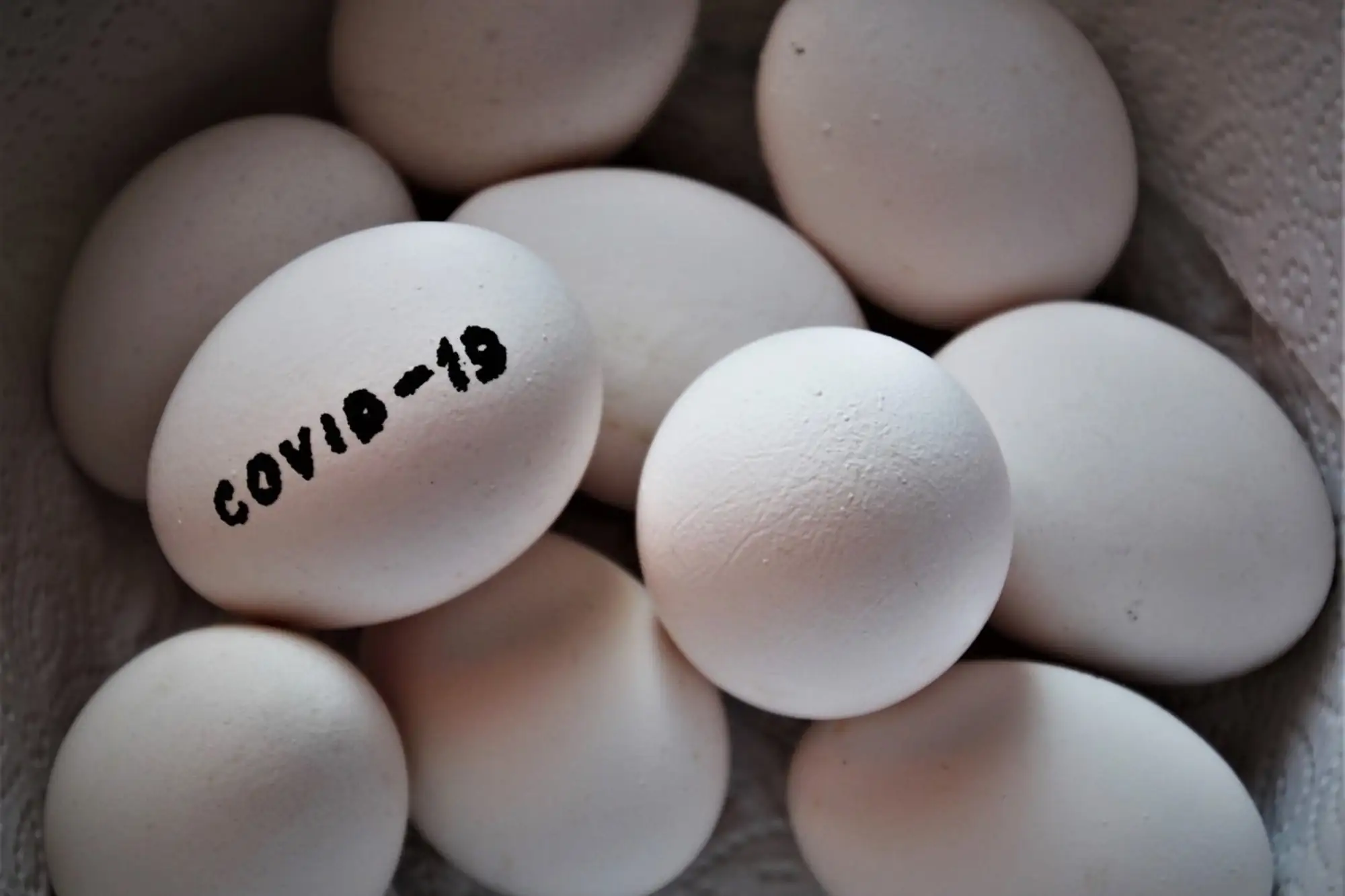 泰國新冠肺炎疫情影響雞蛋售價（示意圖來源：pixabay）