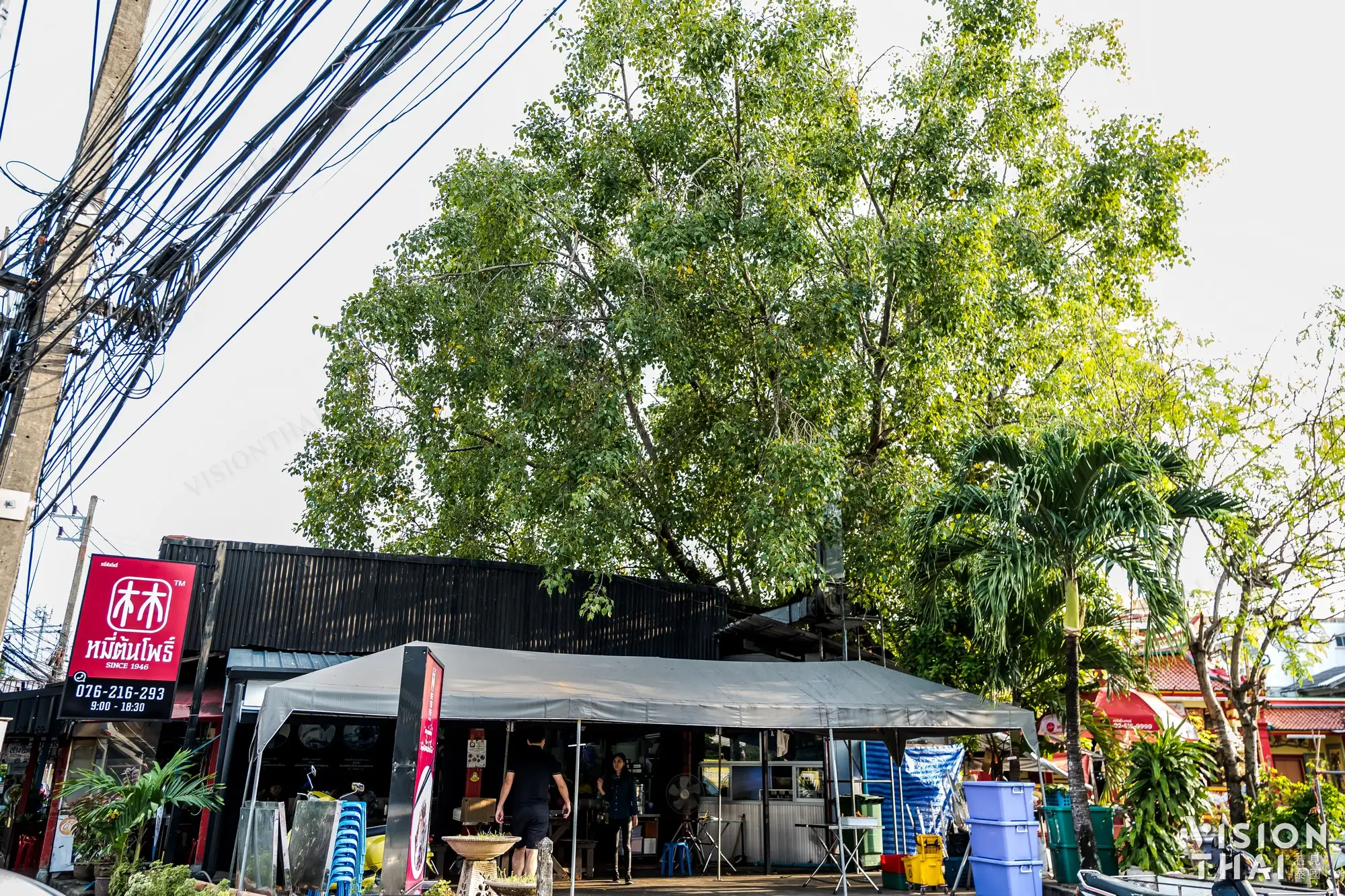 普吉林記福建麵總店就在菩提樹下(VISION THAI)