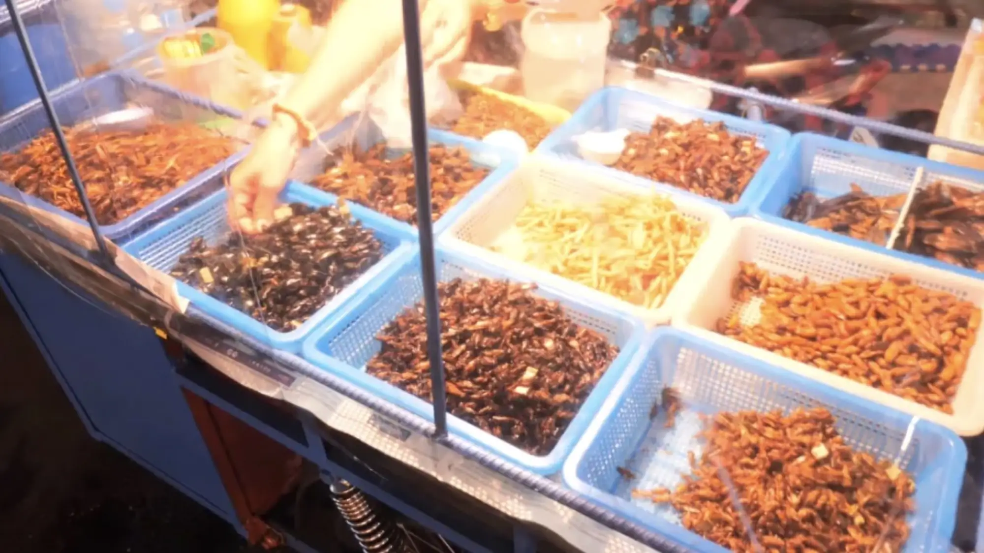 吃虫子对一般的泰国人来说也很奇怪，并不是每个人都愿意吃的哟。（图片来源：postjung）