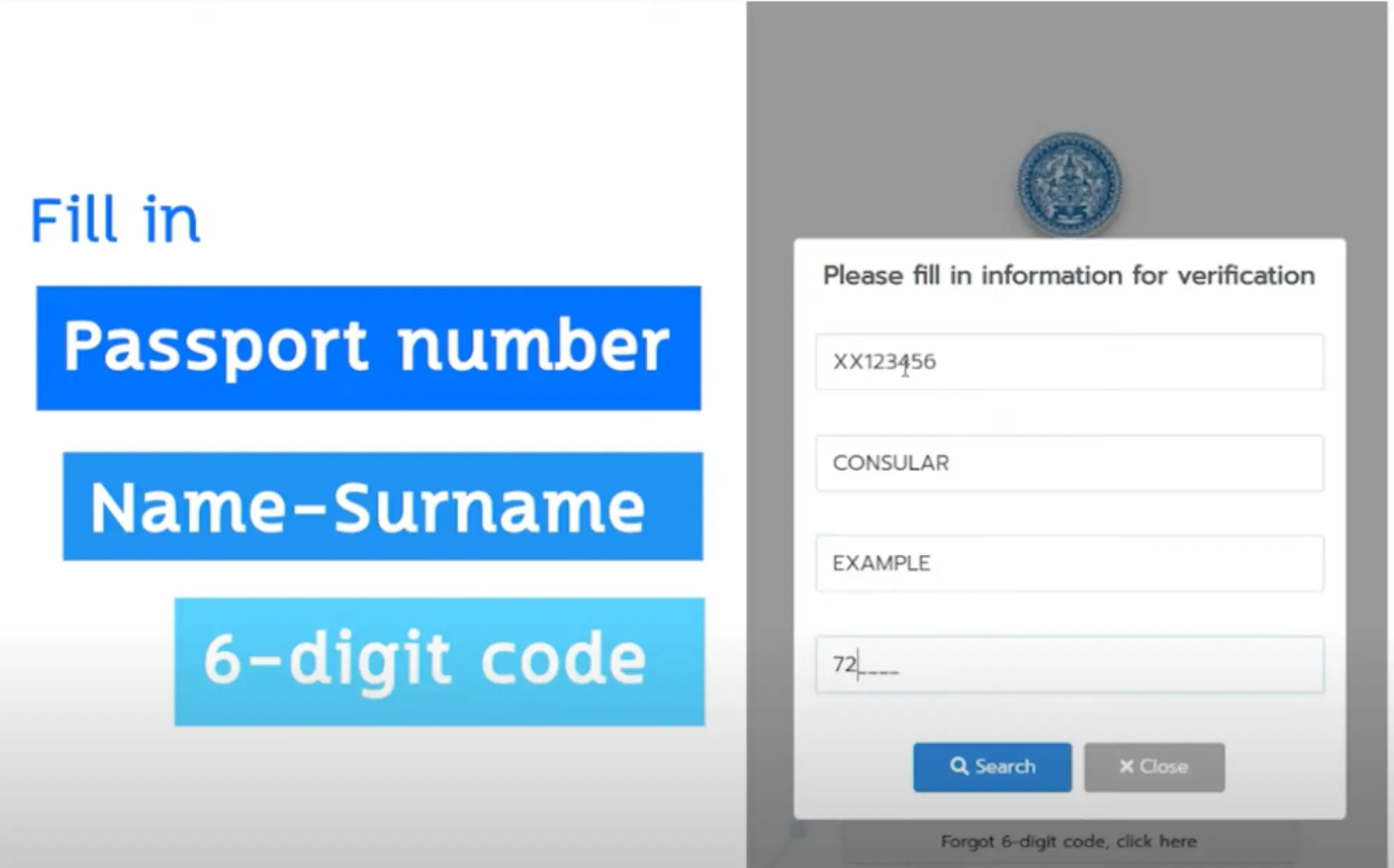 泰國入境許可證：第二階段查詢步驟，填入資料（圖片來源：擷取自Thai Consular Online官方影片）