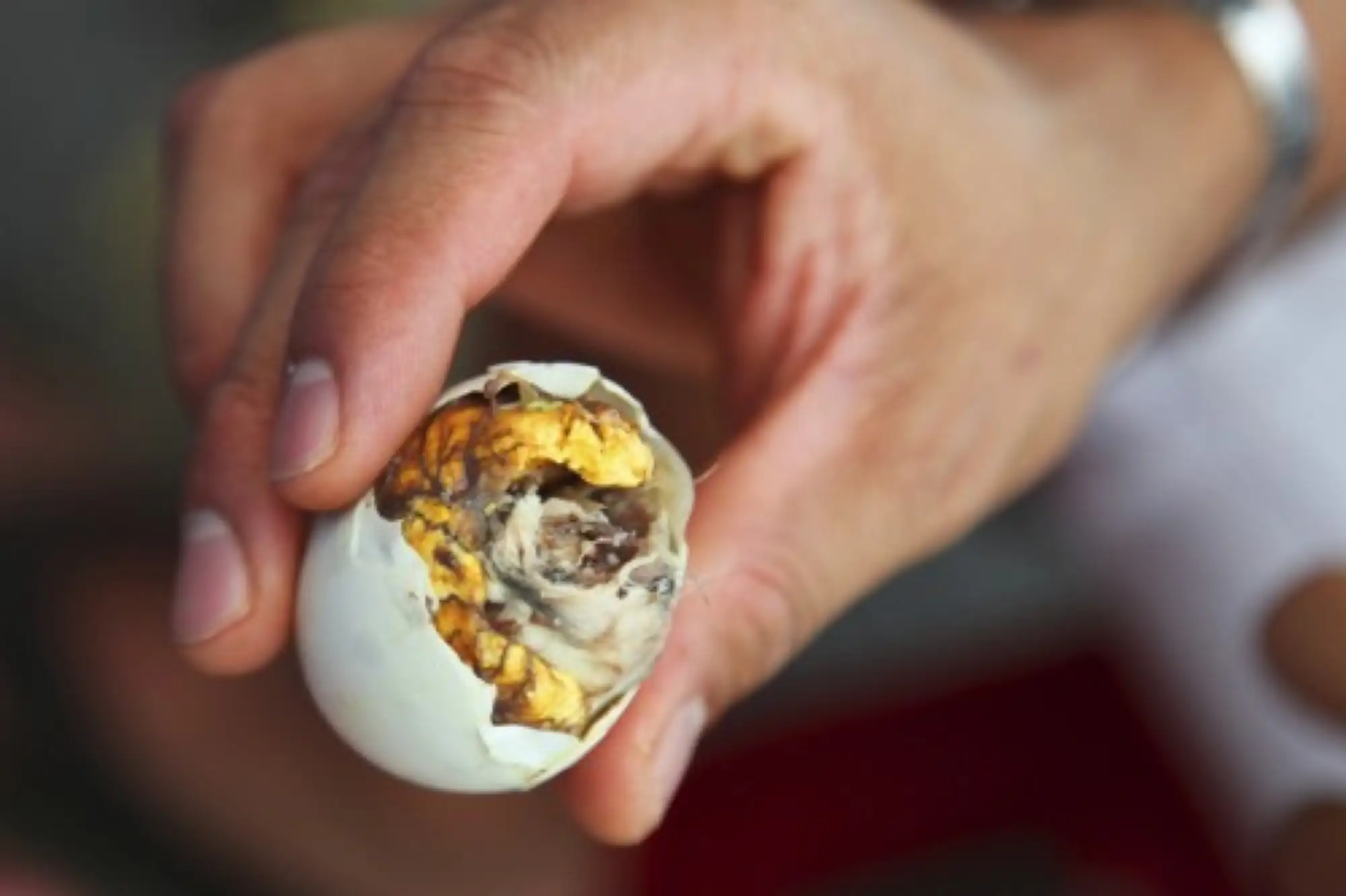 泰國毛雞蛋是將快要孵化的雞蛋放在或上面烤，烤熟後配以醬料食用（圖片來源：i-to-i）