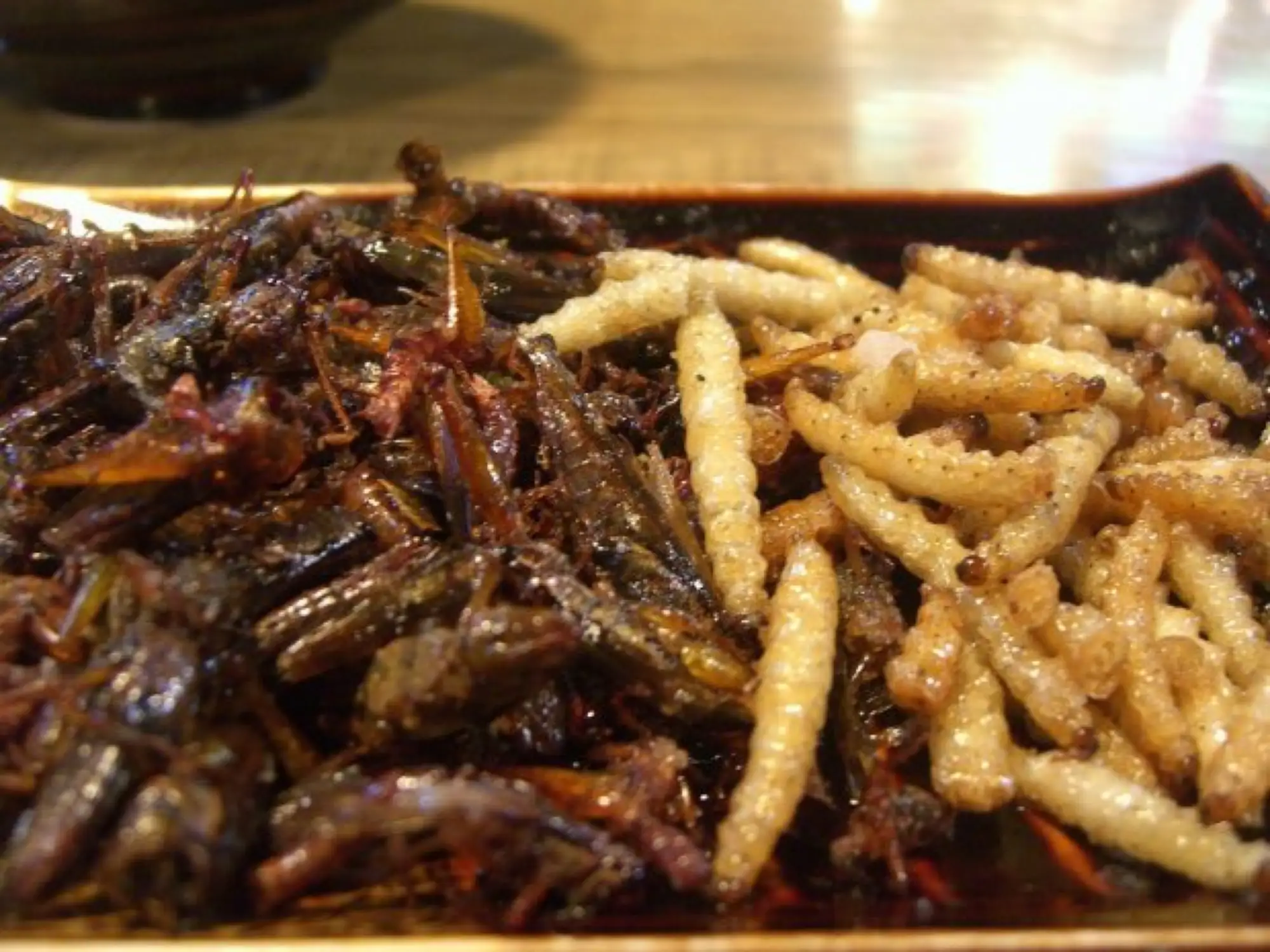 在泰國人眼裡，這是廣受歡迎的美食——竹蟲（圖片來源：tripzilla）