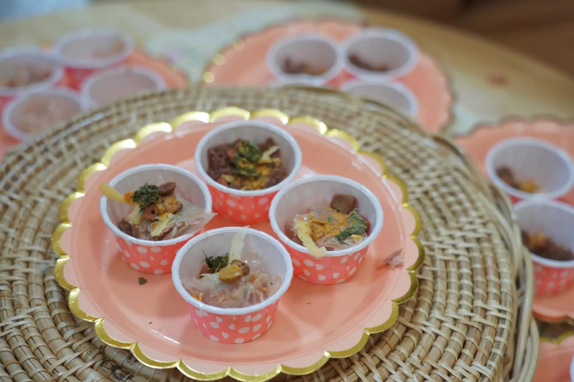 盛宴上有各式各样的猫粮（图片来源：Wakakimi官方脸书）