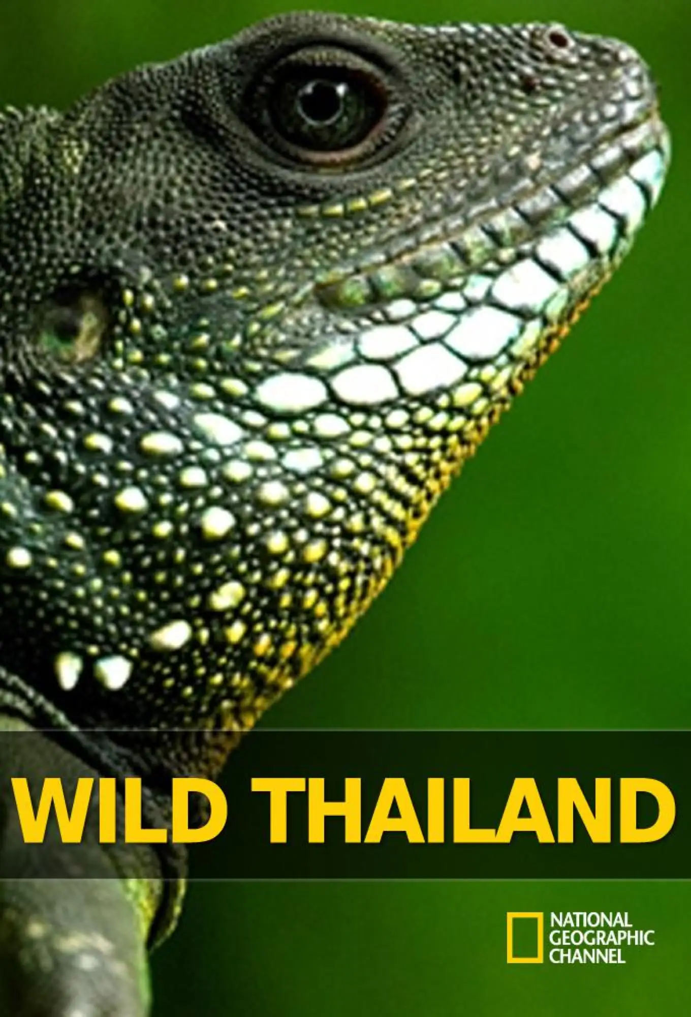 泰国纪录片推荐：《野性泰国》（图片来源：豆瓣）