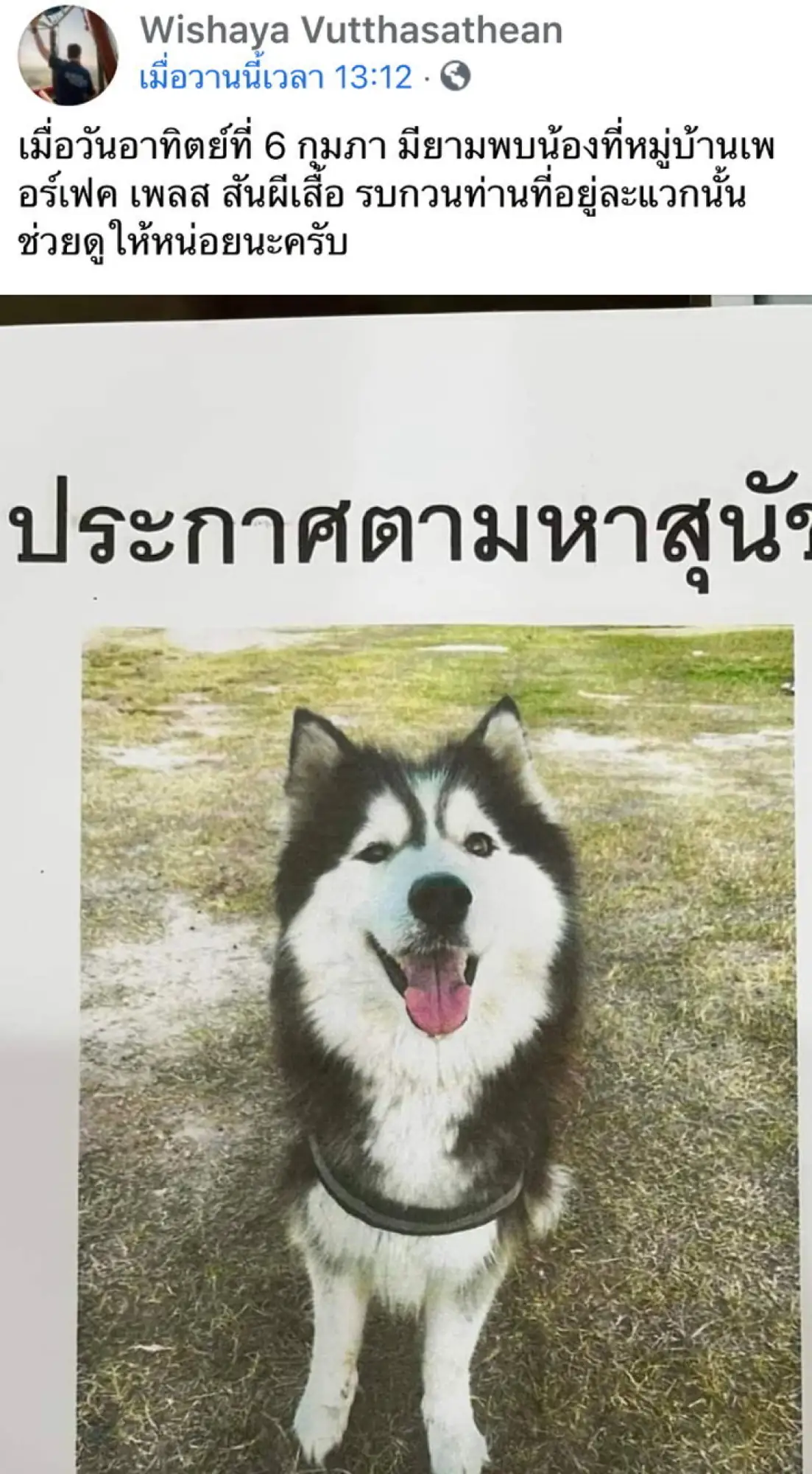 Wishaya先生在脸书上发布寻犬启事（图片来源：sanook）