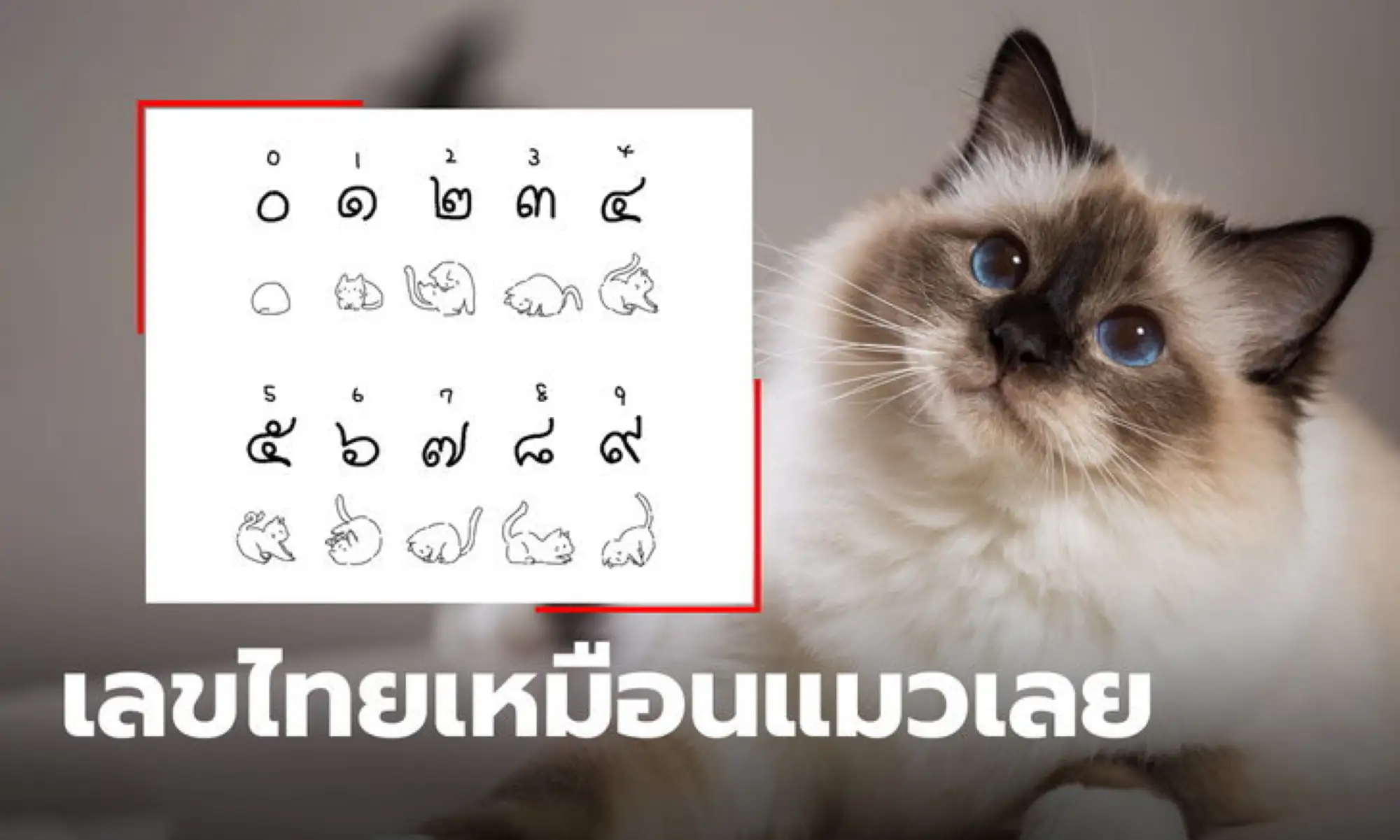 一名日本網友把泰語數字畫成貓咪圖案（圖片來源：sanook）