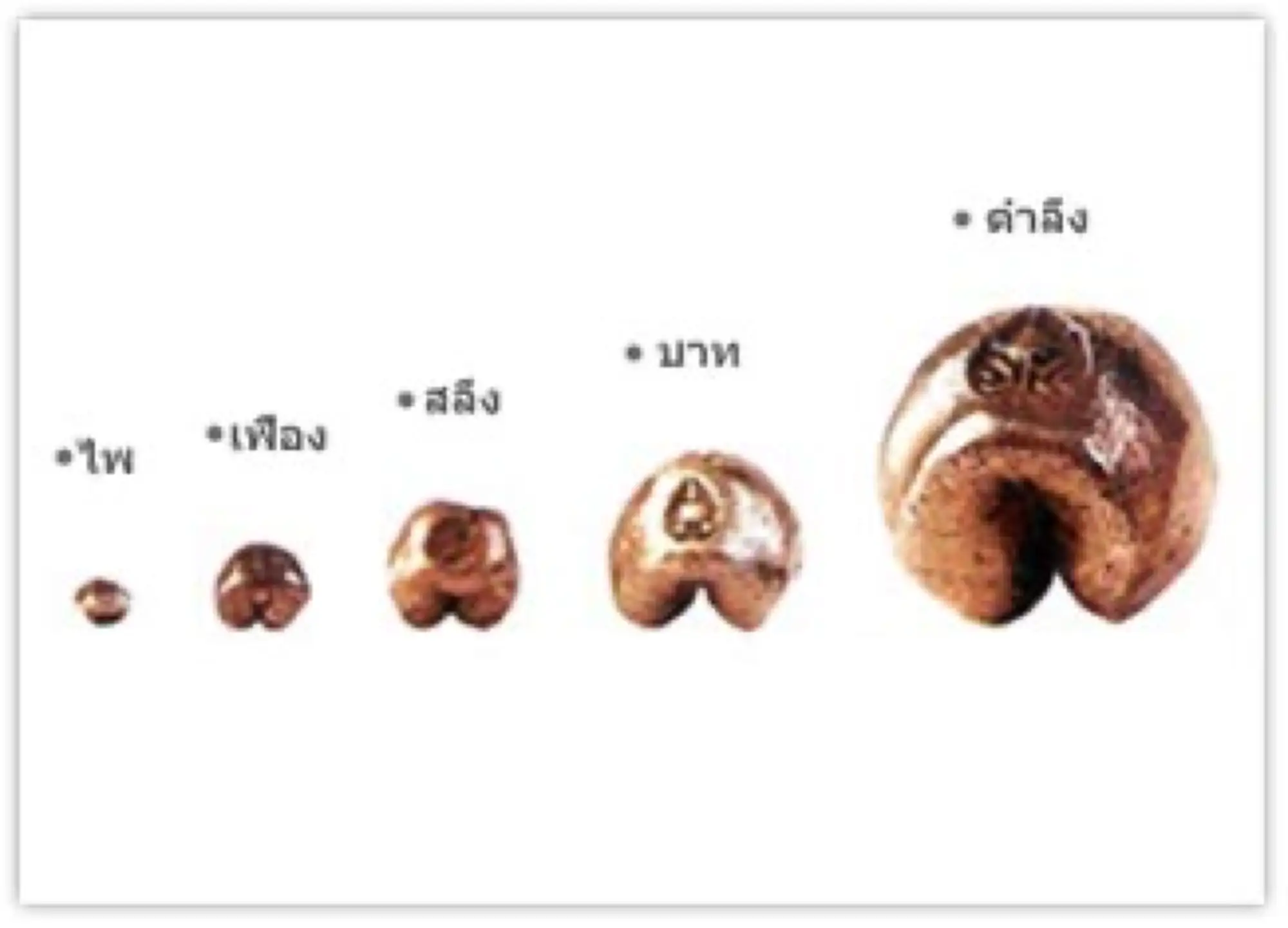 泰国货币卜当(เงินพดด้วง)（图片来源：沪江泰语）
