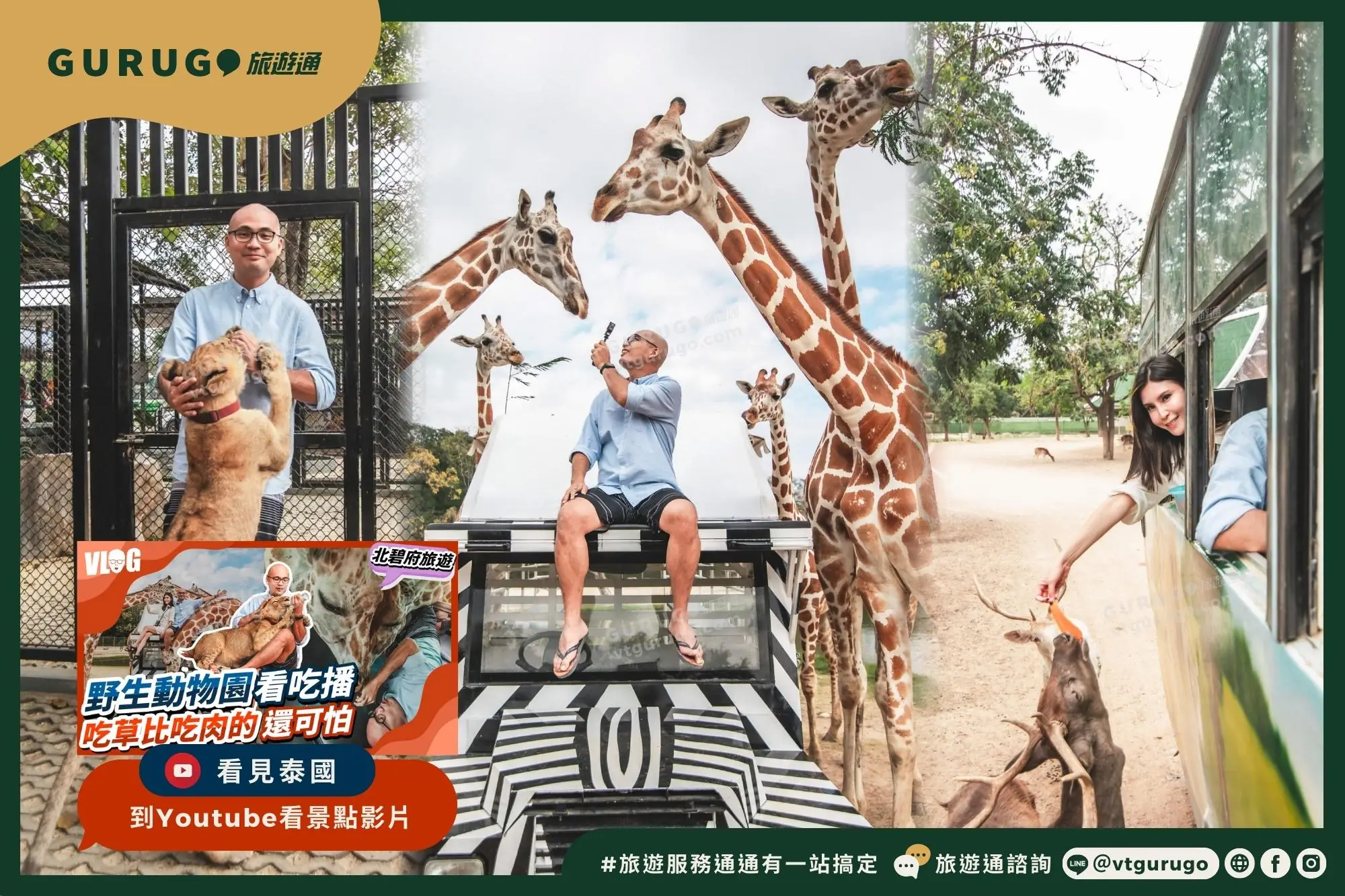 超人氣爆紅的北碧府賽佛瑞野生動物園，可提前預約與長頸鹿合影的活動（Vision Thai 看見泰國）