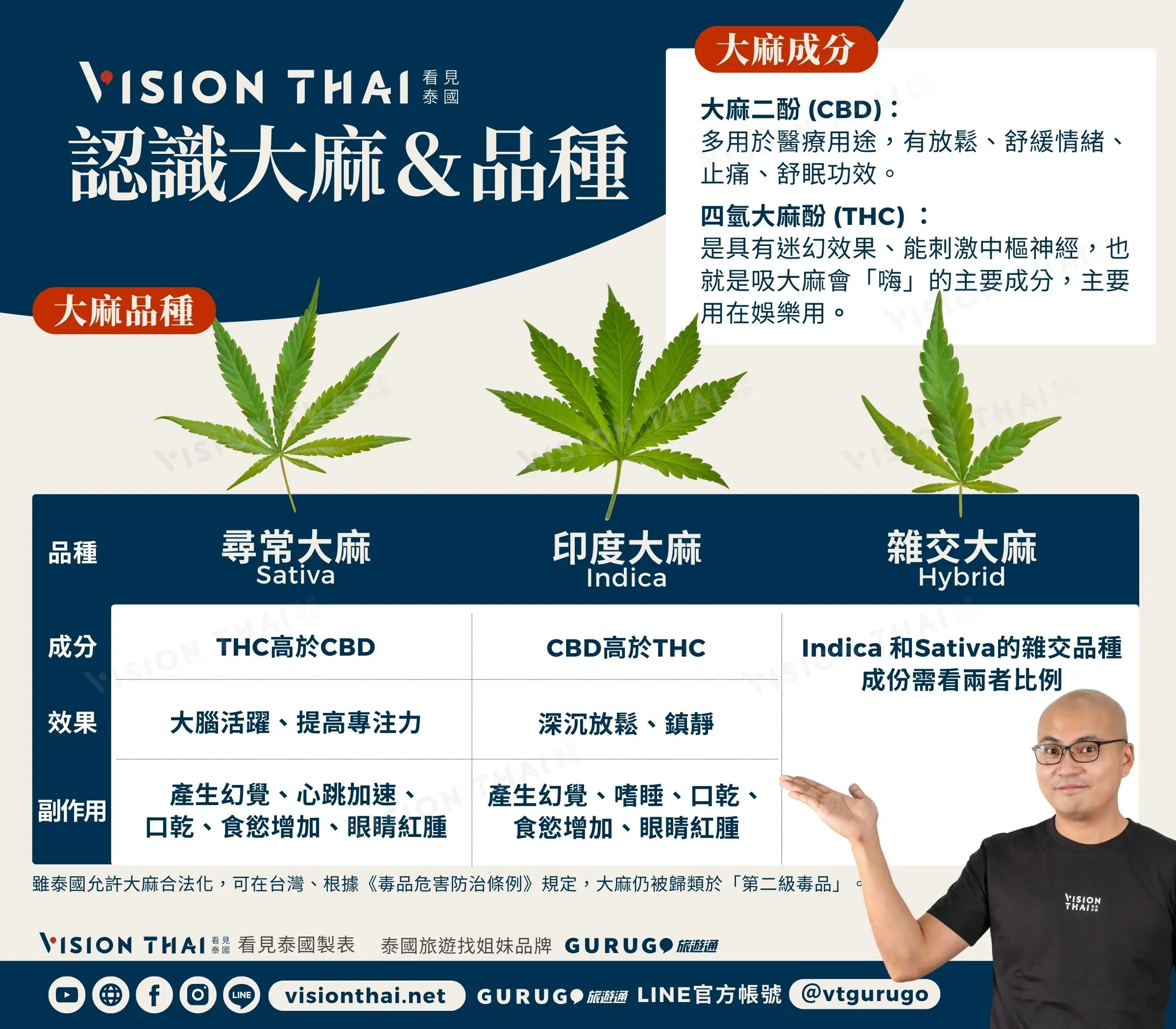 泰國大麻指南：CBD,THC怎麼看/種類與效果（圖片來源：看見泰國 Vision Thai）