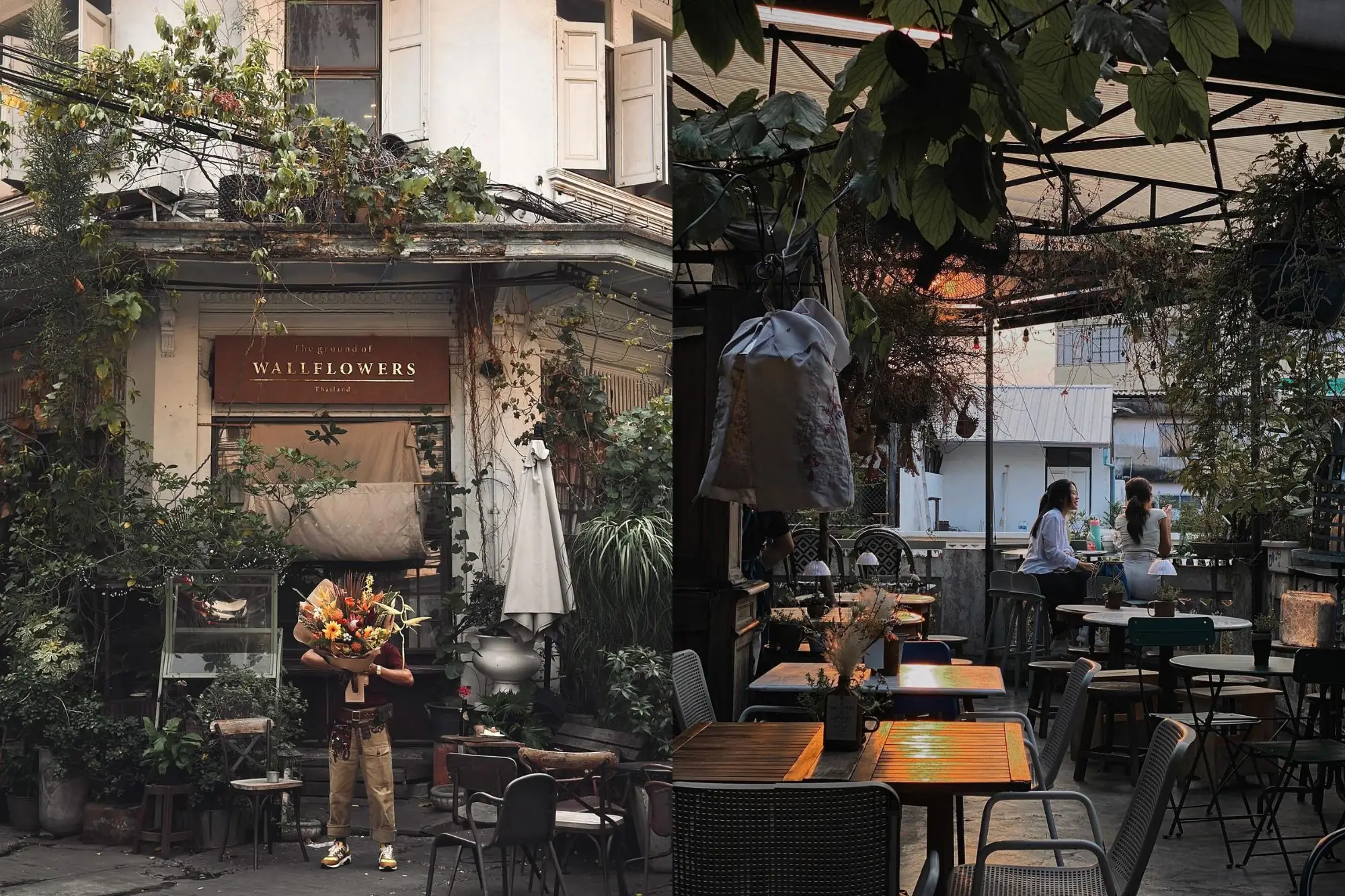 藏在曼谷老宅中的花藝咖啡廳Wallflowers Cafe，結合花藝、咖啡廳、酒吧。（圖片來源：店家FB）