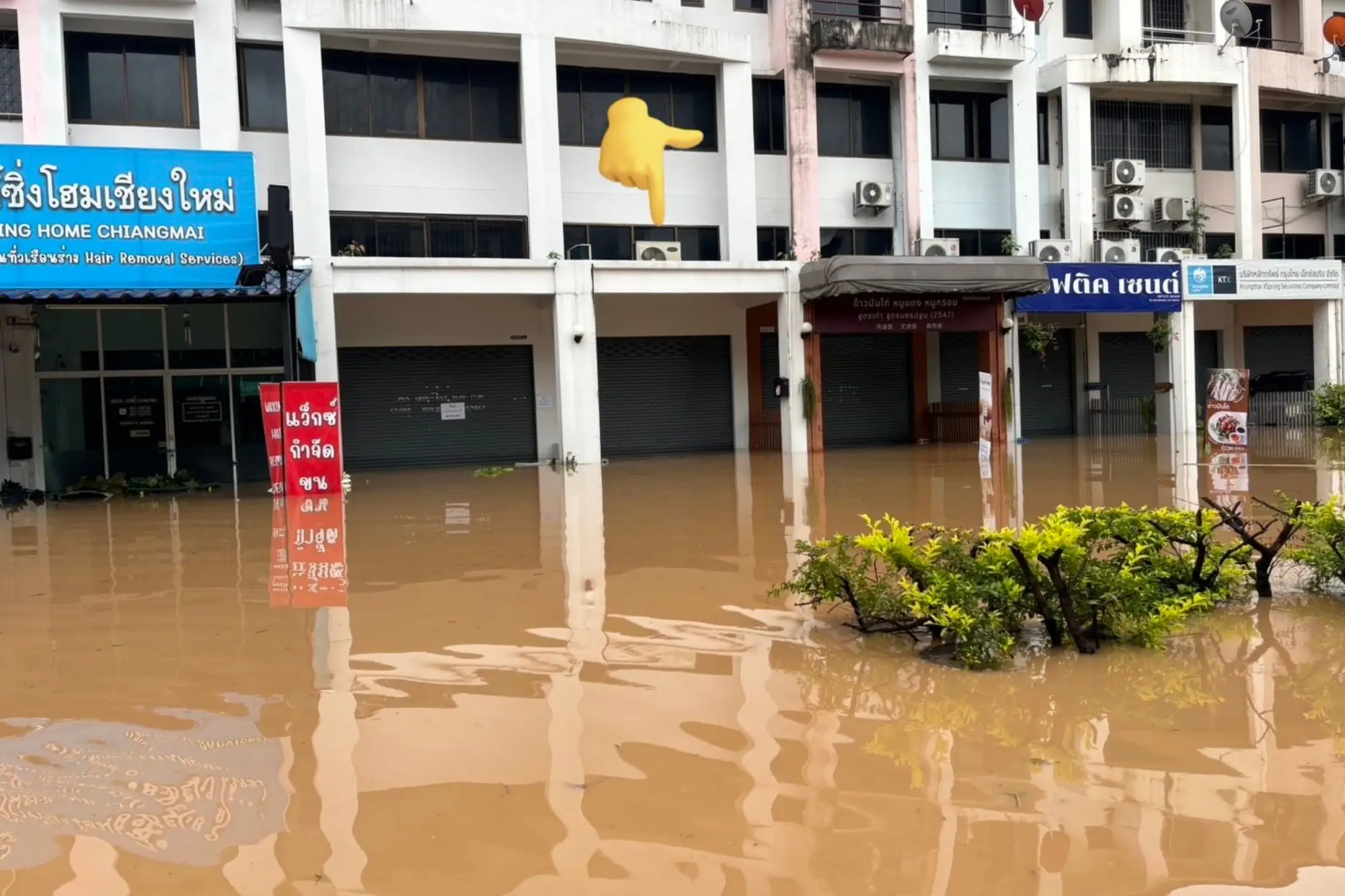 清迈淹水警报！平河溃堤淹没市区 居民深夜紧急撤离（来源：X_Pookimjoong）