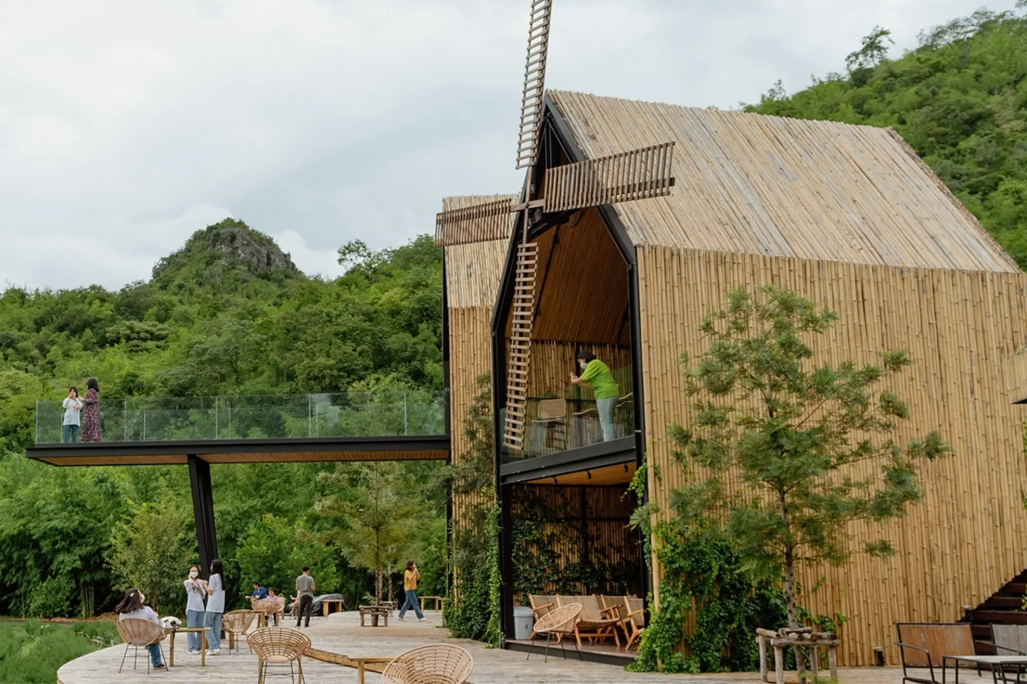 Chan Nature Cafe园区内布满各式仙人掌，主打抹茶饮品与甜点。（来源：官方社群）