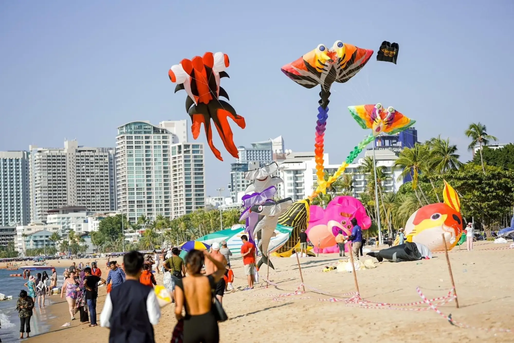 芭提雅国际风筝节登场！史努比首度空降泰国海滩（来源：pattaya news）