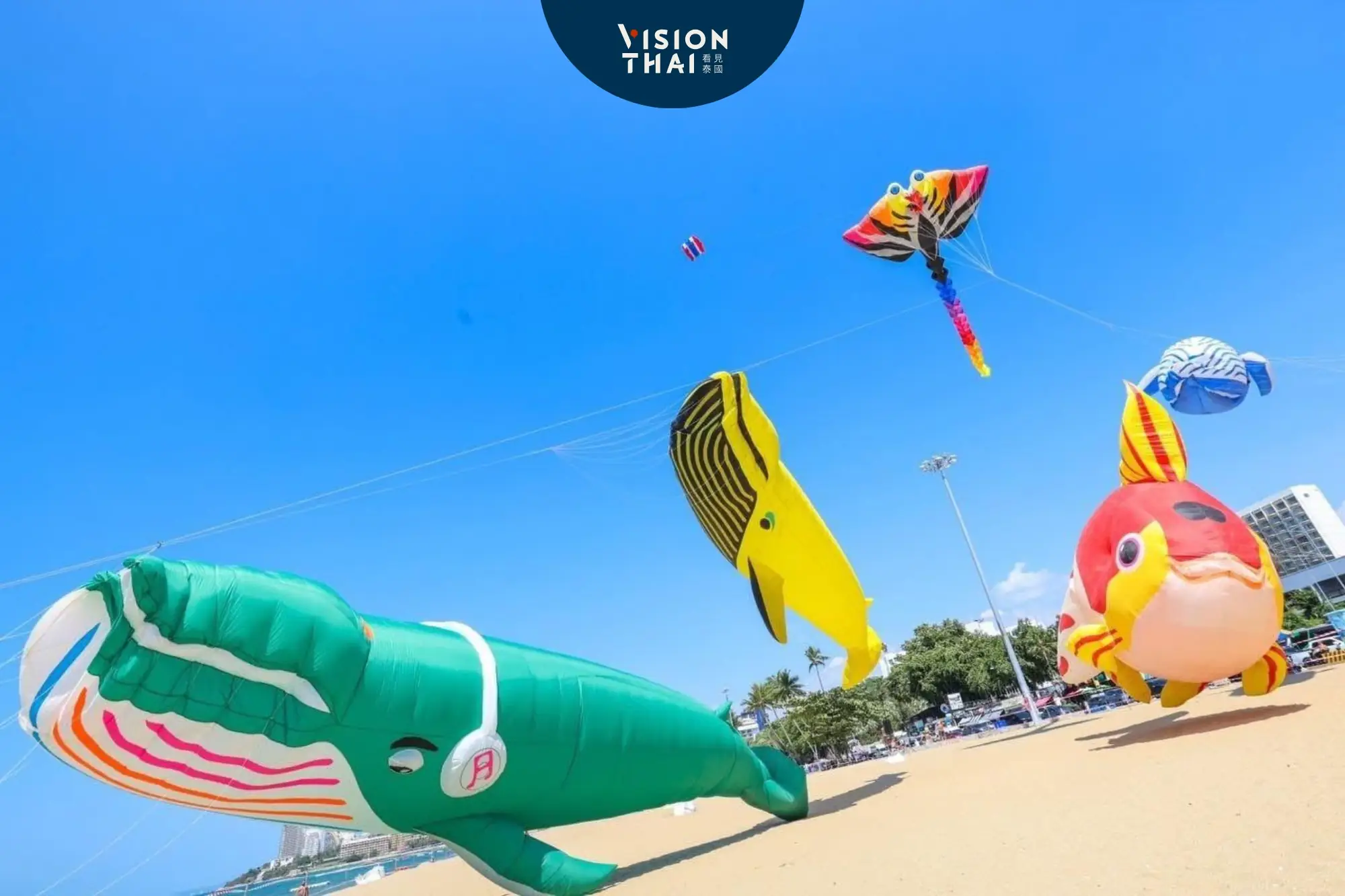 芭達雅國際風箏節登場！史努比首度空降泰國海灘（來源：pattaya news）