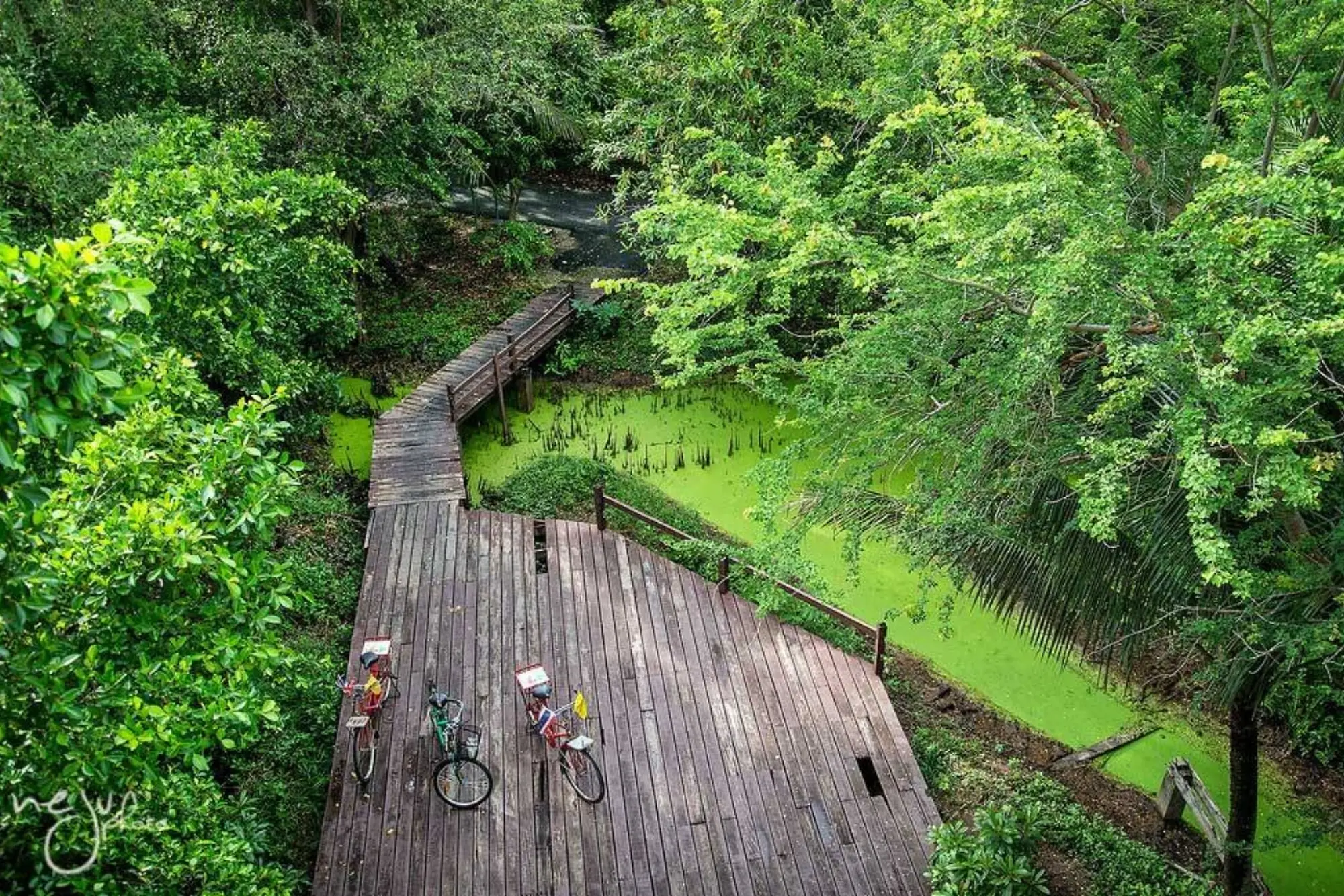 曼谷綠肺腹地廣大，為一處保留完整自然生態的半島地區。（來源：官方社群）