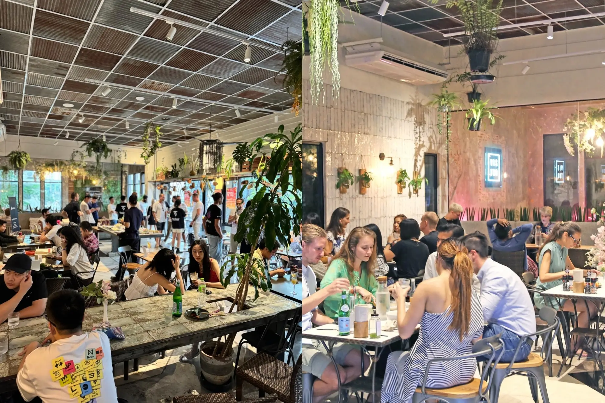 Vistro Bangkok荣获多项纯素餐厅奖项，以国际创意蔬食闻名。（来源：官方社群）