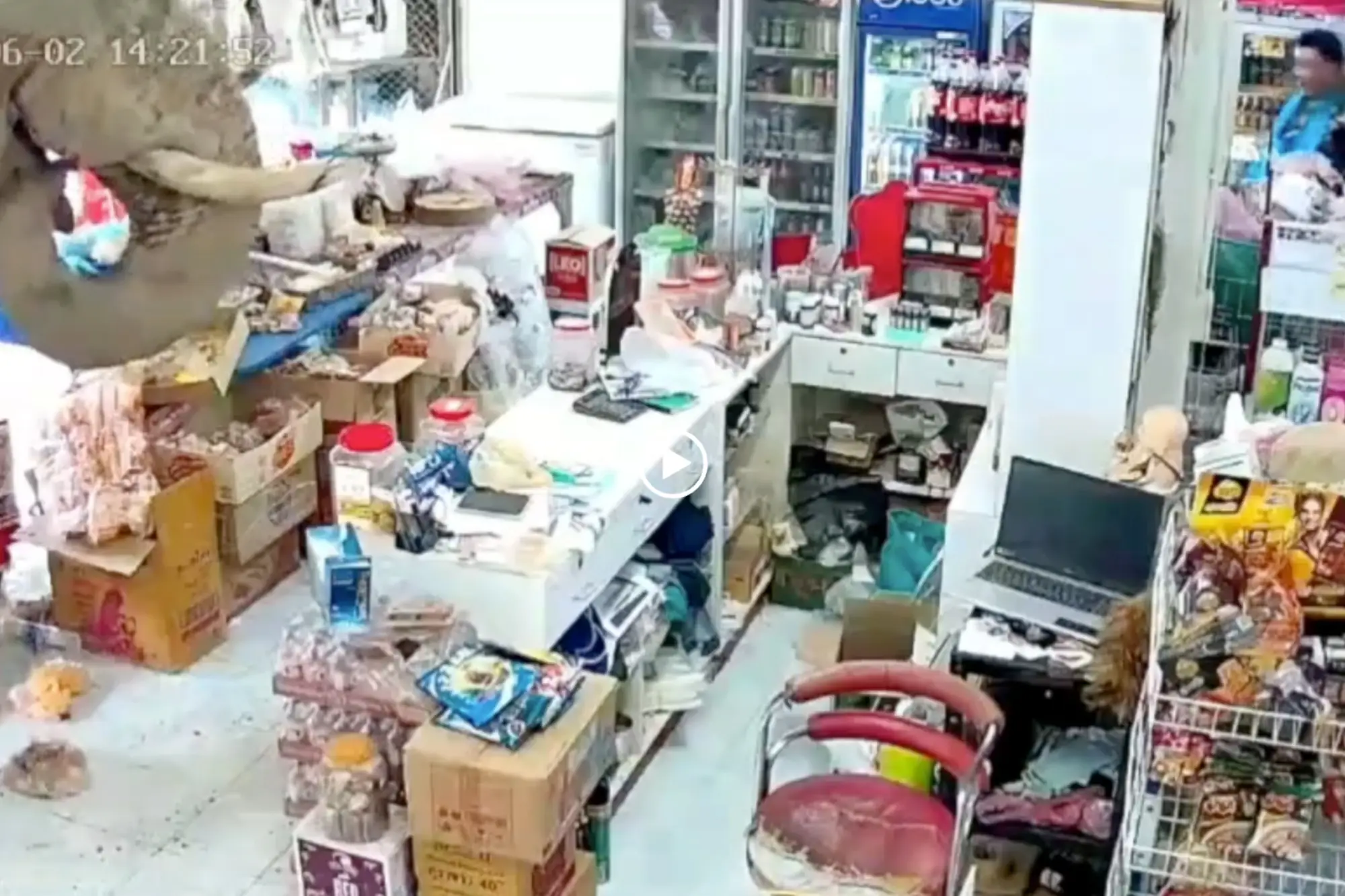 泰國大象闖雜貨店用象鼻「購物」偏愛甜食（來源：影片截圖）
