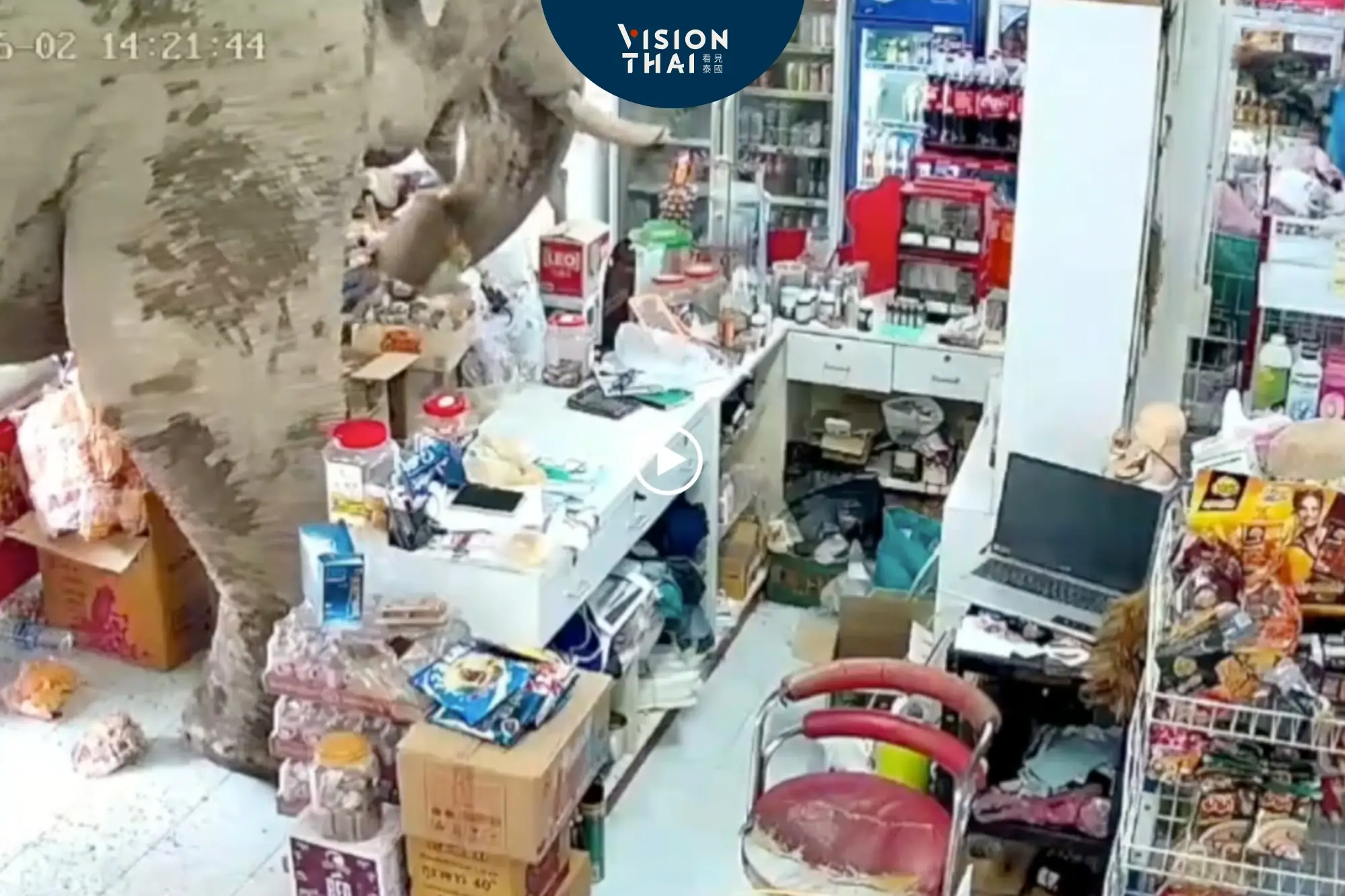 泰國大象闖雜貨店用象鼻「購物」偏愛甜食（來源：影片截圖）