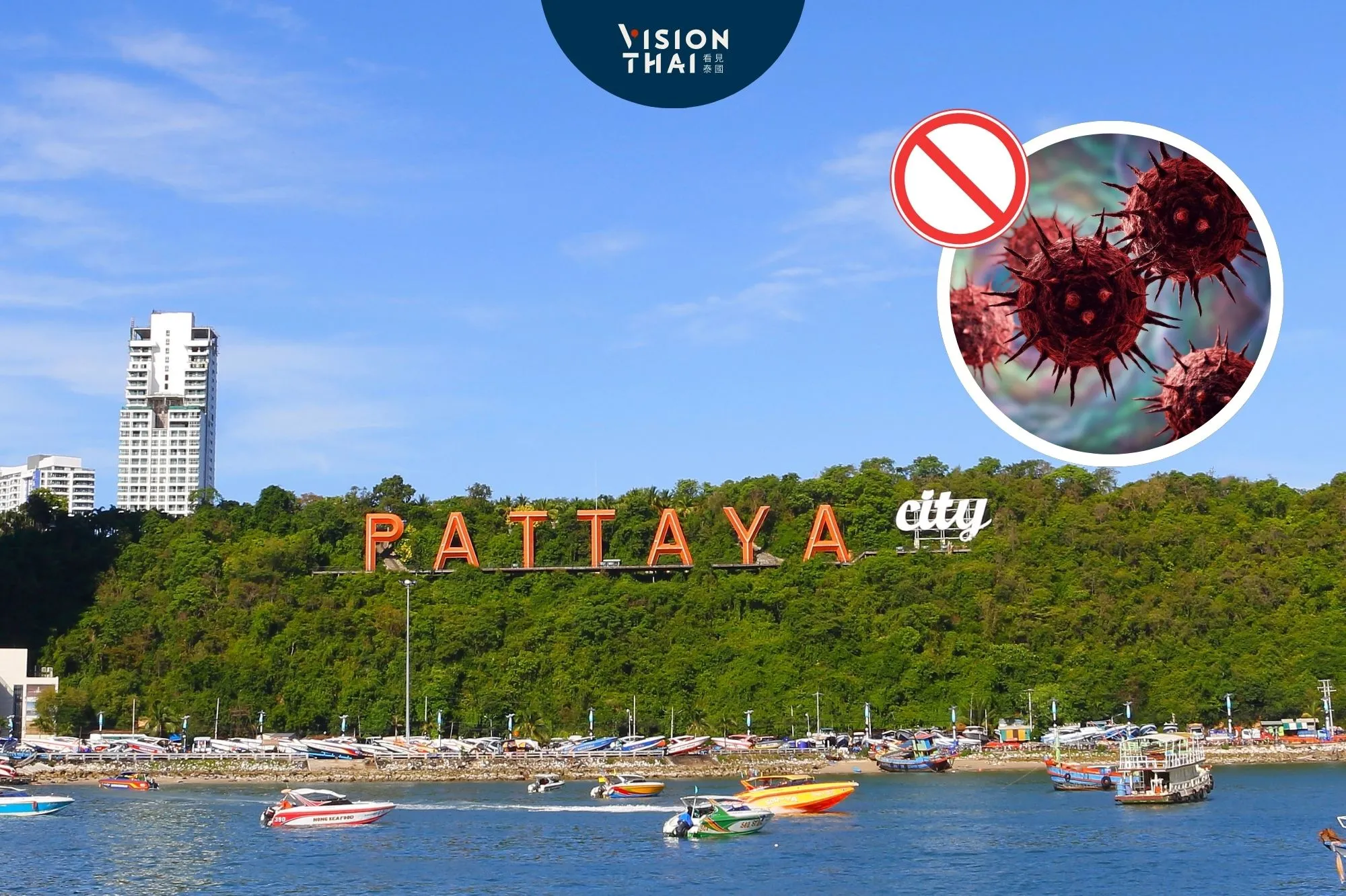 泰國嚴防尼帕病毒 芭達雅加強警戒!專家:不同於新冠傳播勿擔心(來源:看見泰國 VisionThai)