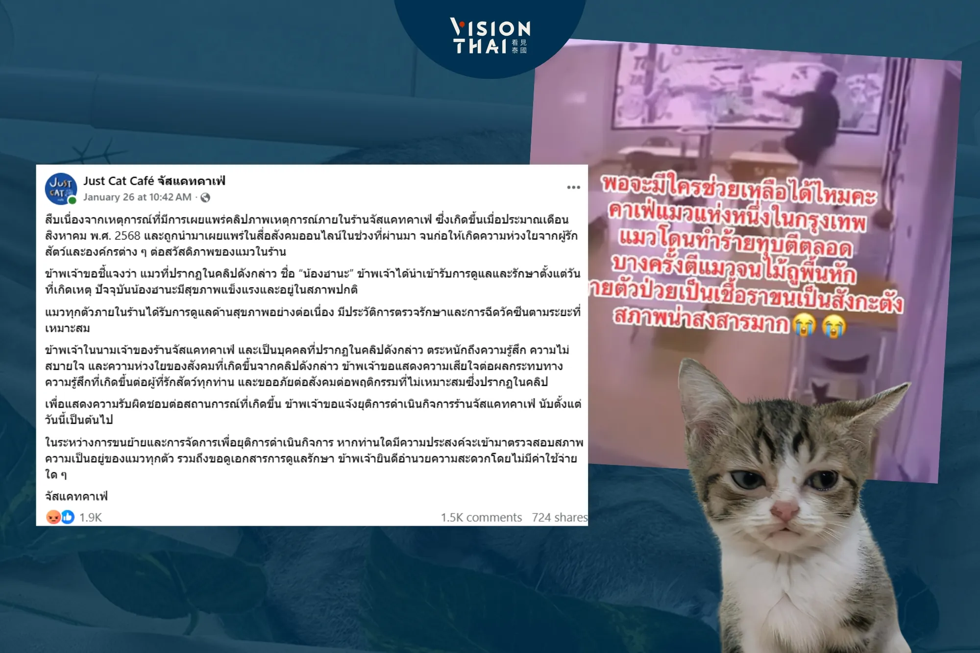 曼谷貓咖啡館虐貓 業者發聲道歉並宣布永久停業（來源：網路合圖）