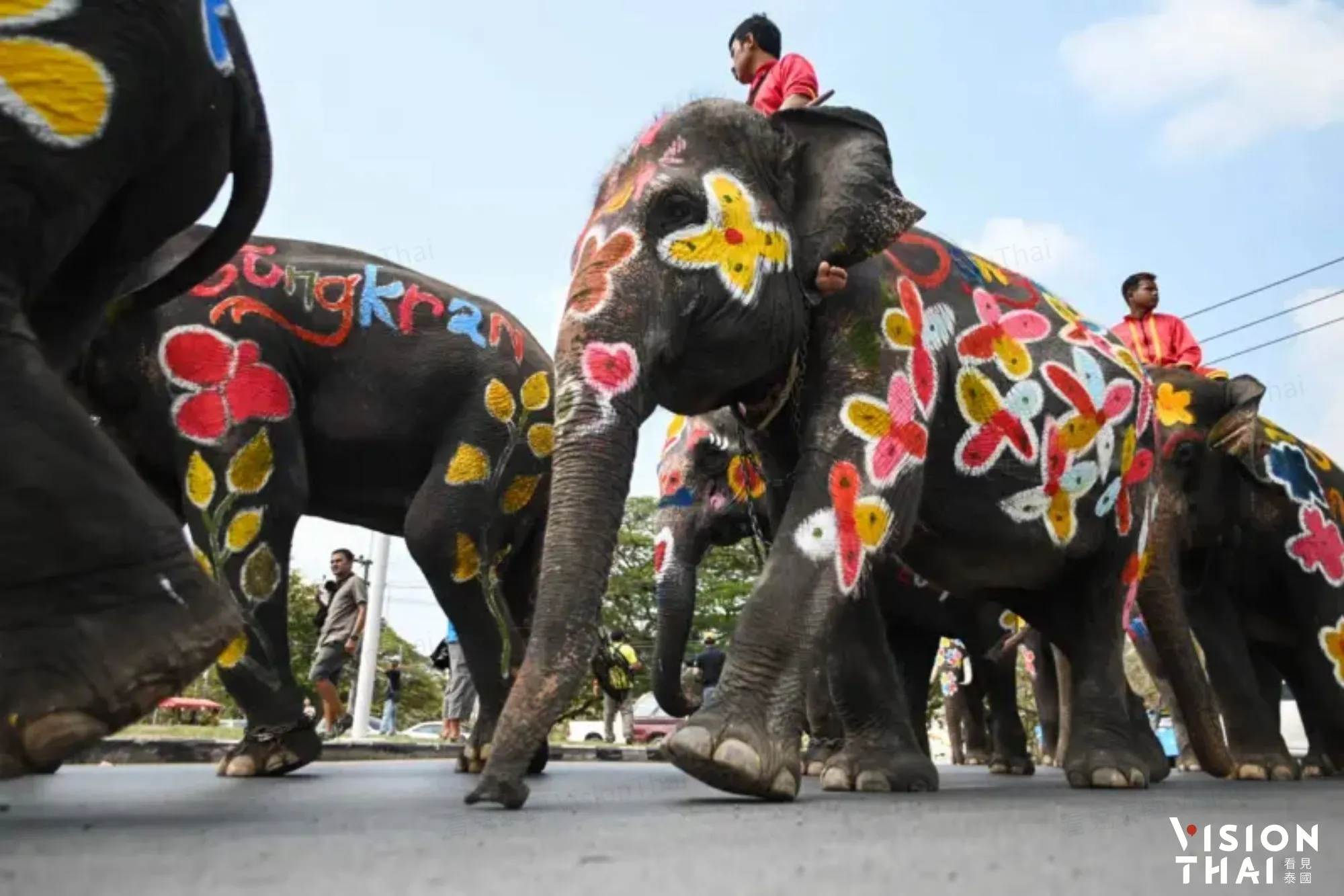泰國潑水節大象陪你潑水！大城遺產節即將展（來源：bbc）