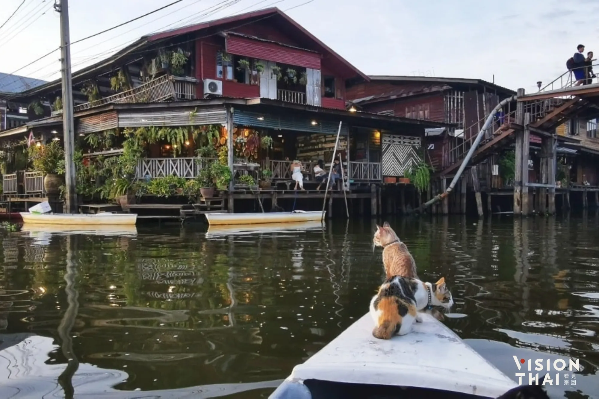 曼谷貓貓船超療癒！水上市場擼貓遊船Si Yaek Huatakhe民宿咖啡廳