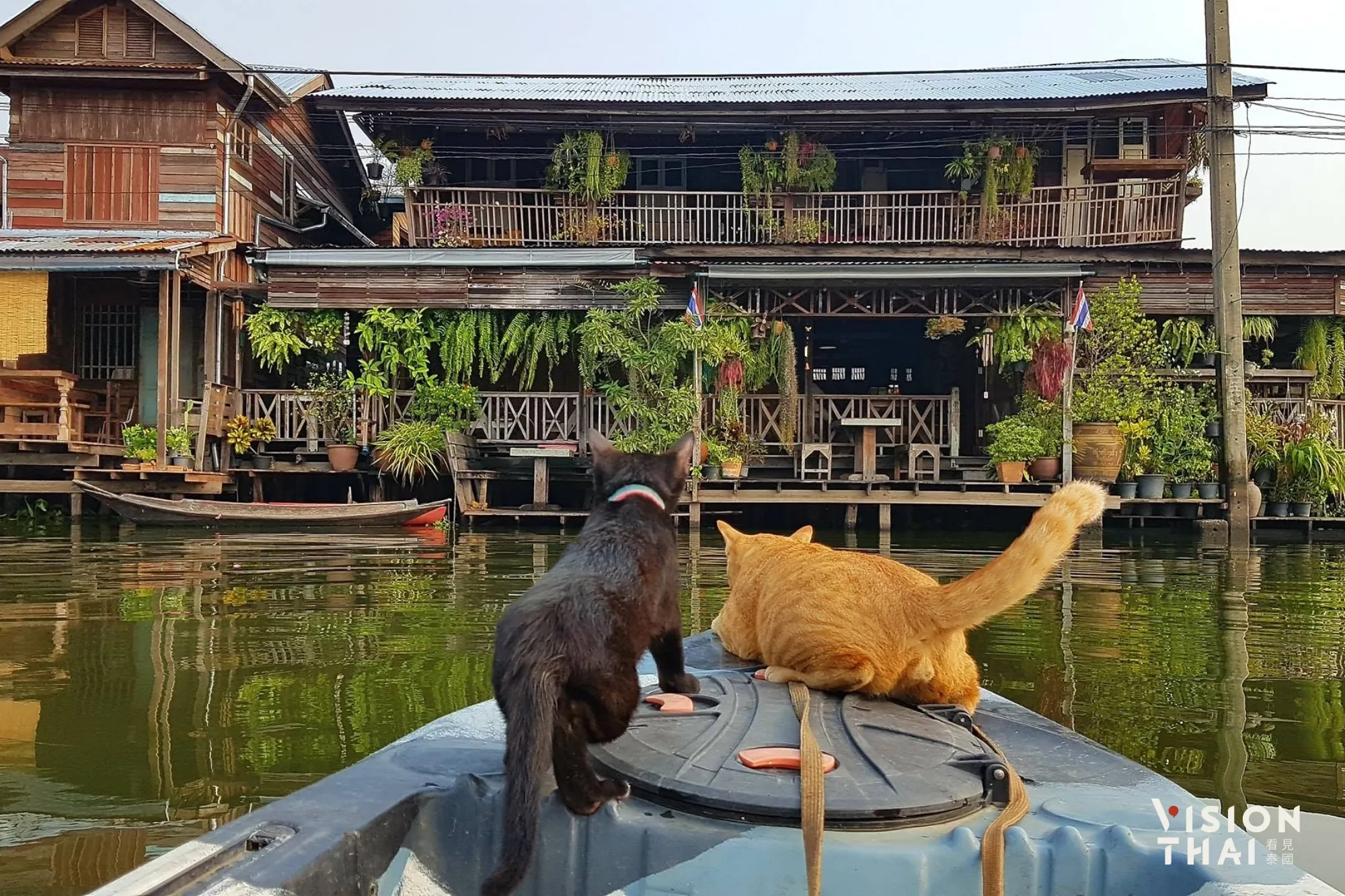 原本貓貓船只開放住宿的朋友免費體驗，不過因為太過熱門，後來也開放給遊客預約搭乘。（來源：官方社群）