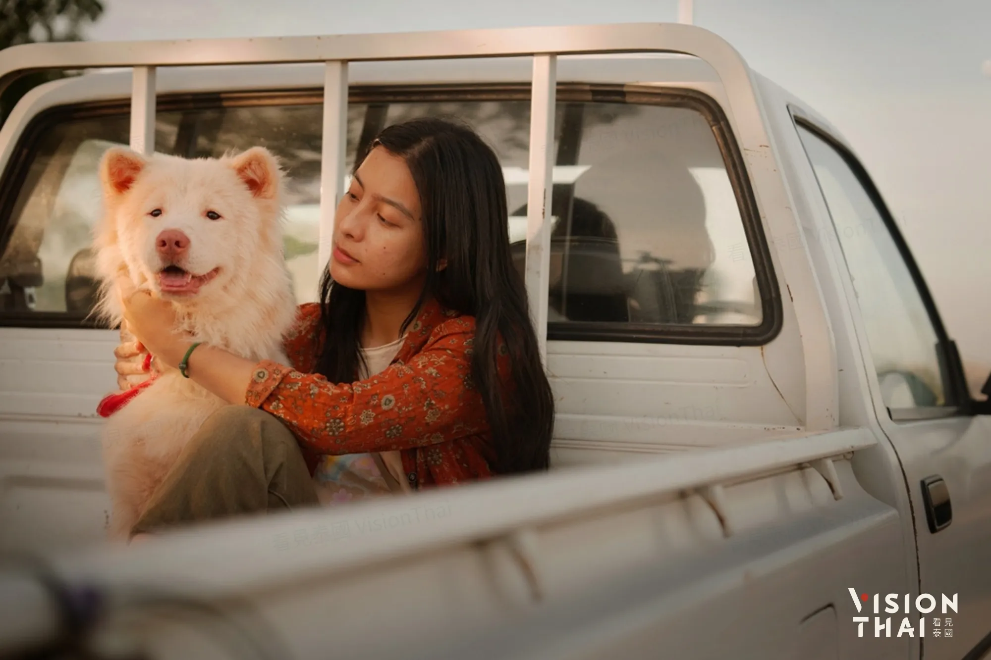 泰國影史最感人浪浪片《伴我一生，感謝你》！《模犯生》《金孫爆富攻略》團隊新作
