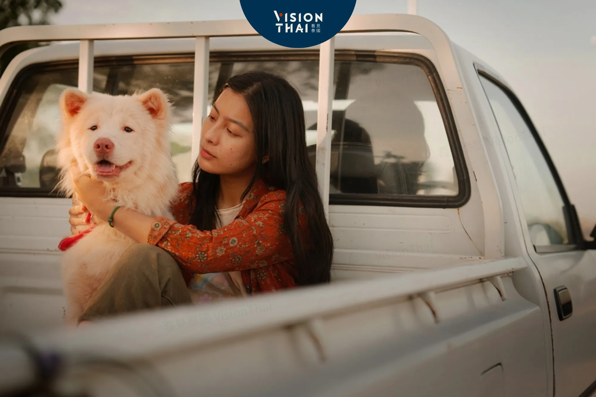 泰國影史最感人浪浪片《伴我一生，感謝你》！《模犯生》《金孫爆富攻略》團隊新作（來源：劇照）