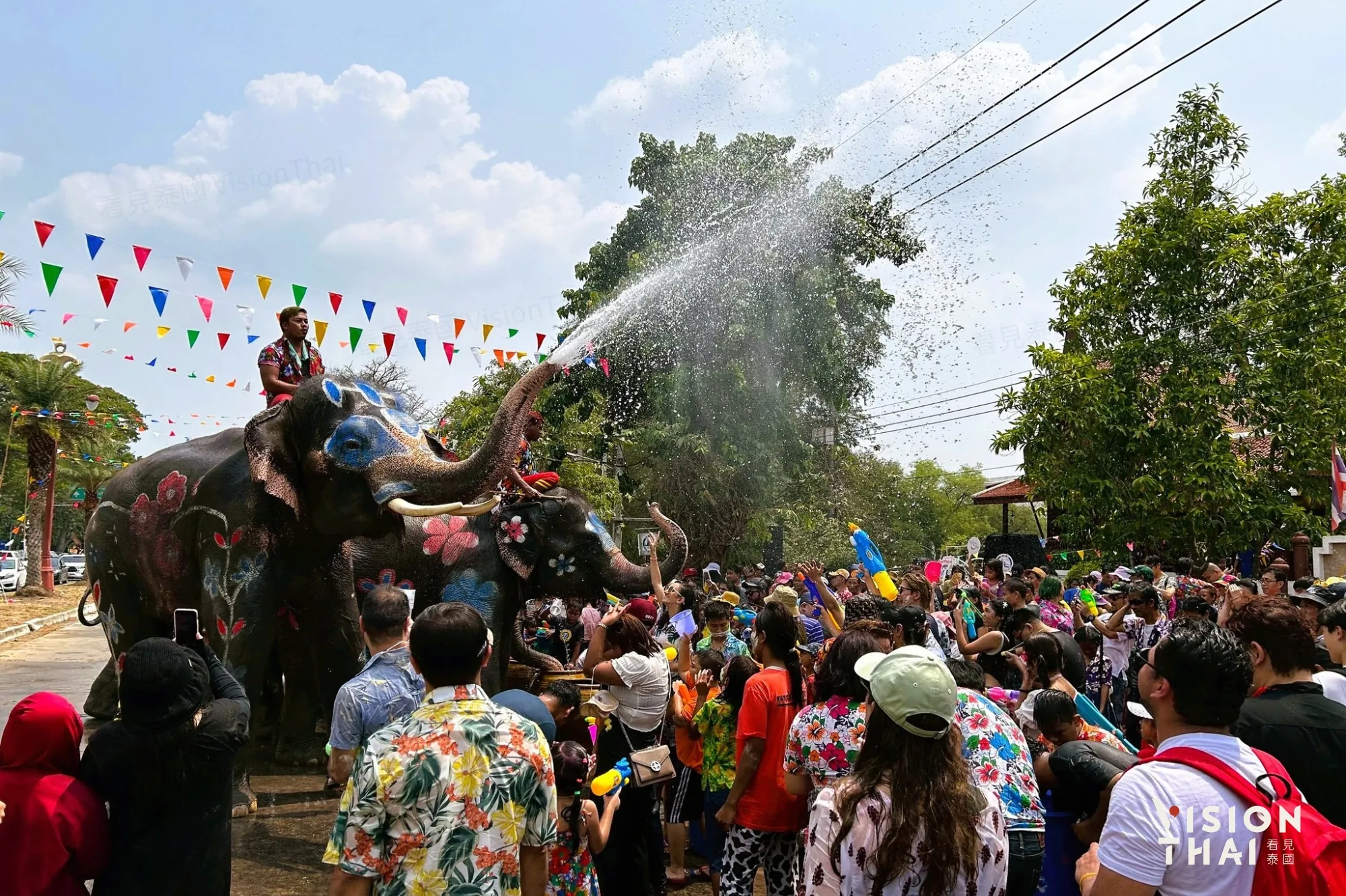 大城宋干節招牌「大象潑水」活動（來源：官方）