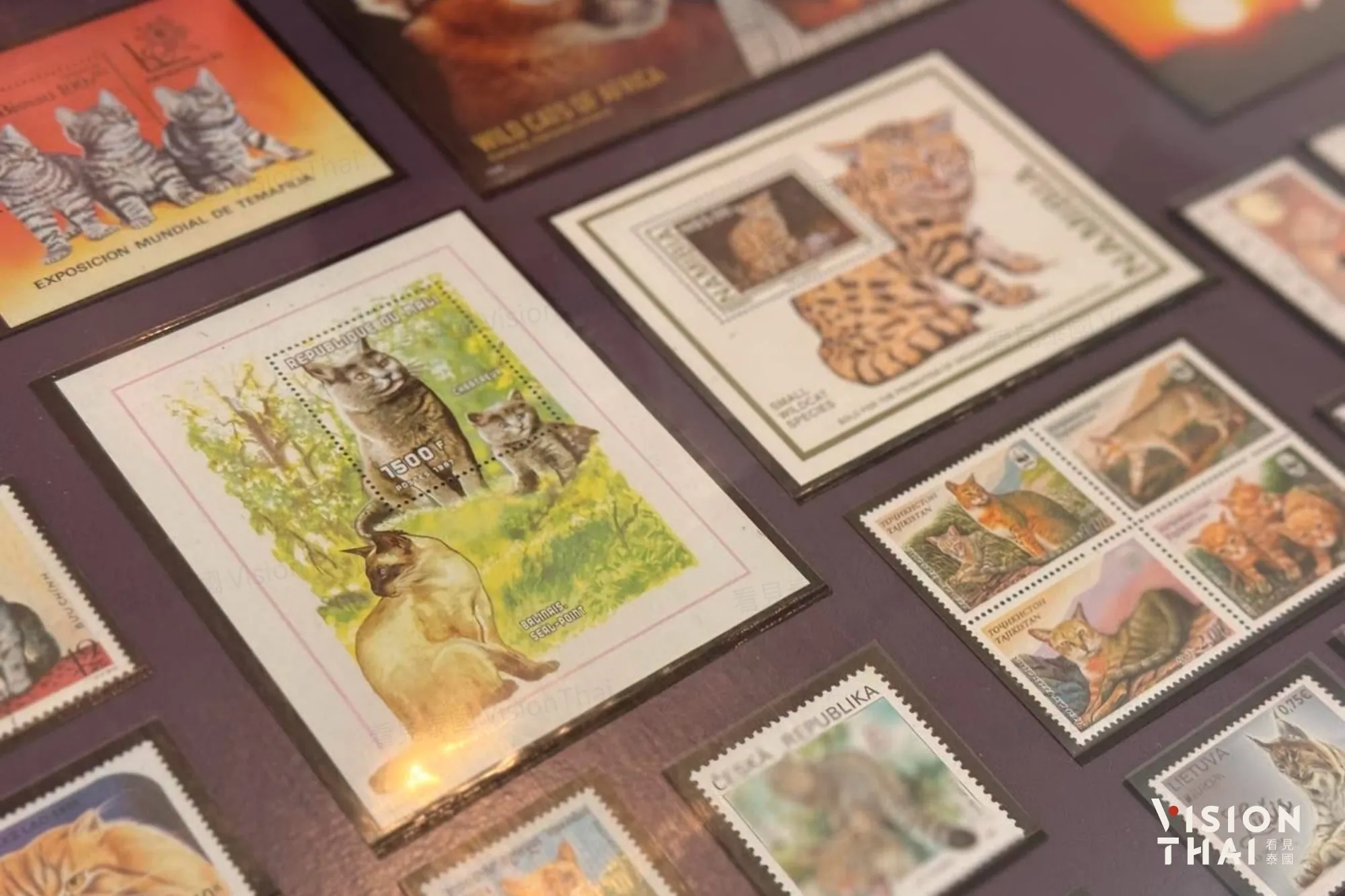 曼谷貓咪郵票特展!逾千枚全球貓郵票展出 還可把愛貓變成郵票(來源:FB@Thai Stamp Museum)